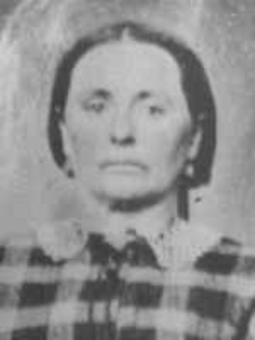 Elizabeth Johnson (1821 - 1891) Profile